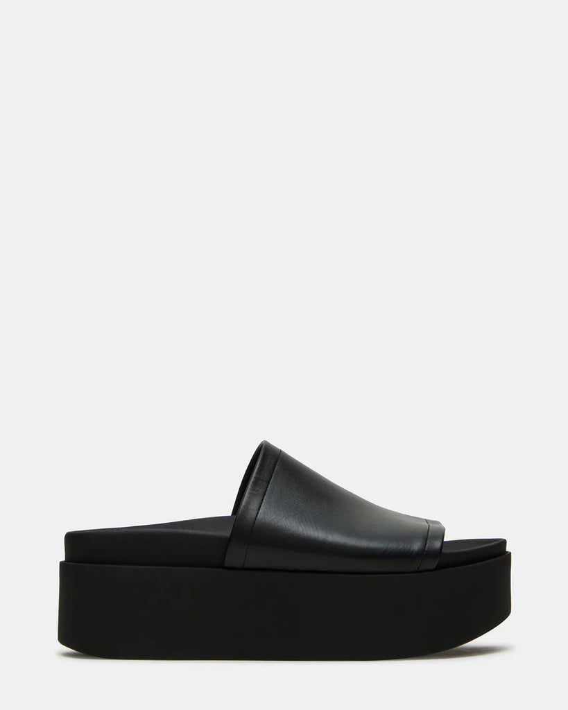 STEVE MADDEN