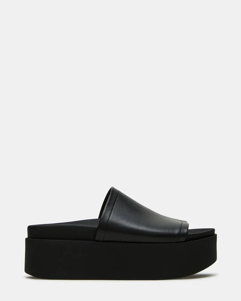STEVE MADDEN