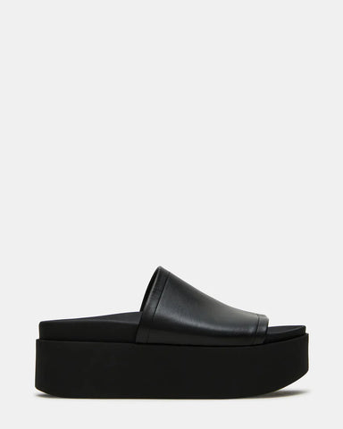 STEVE MADDEN