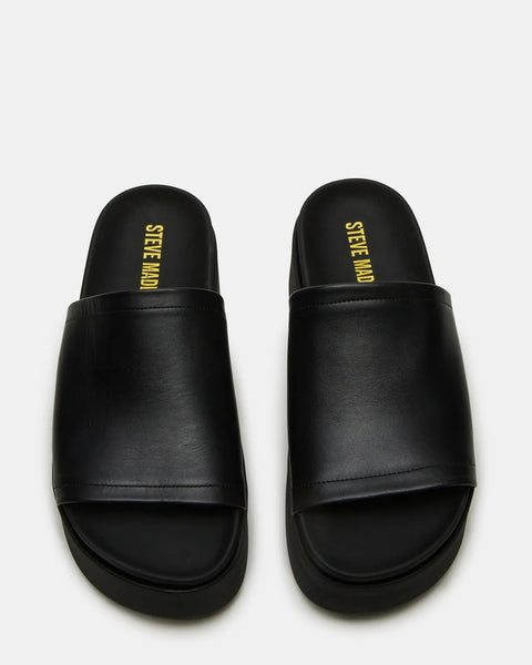 STEVE MADDEN