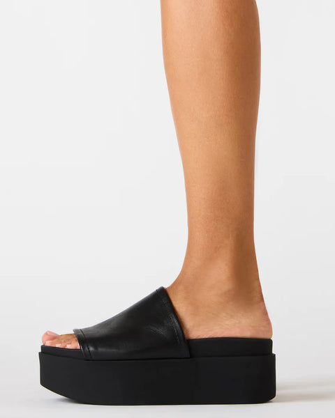 STEVE MADDEN