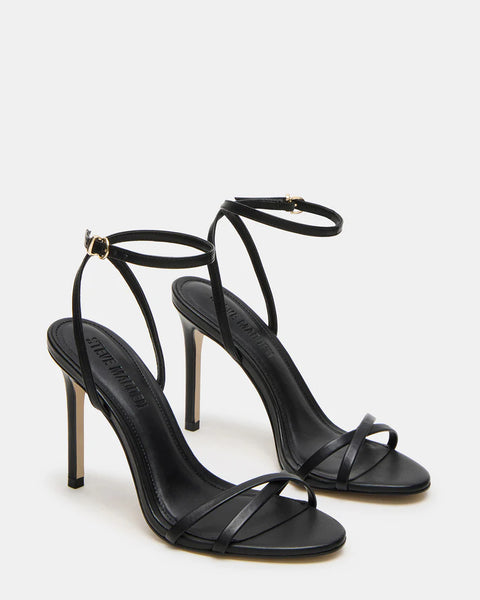 STEVE MADDEN