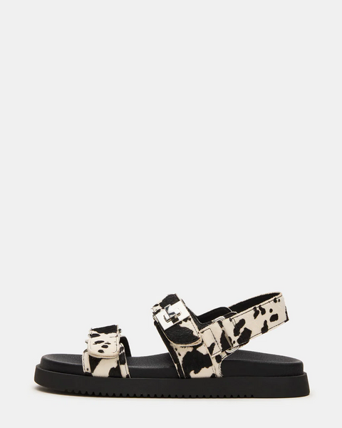 STEVE MADDEN