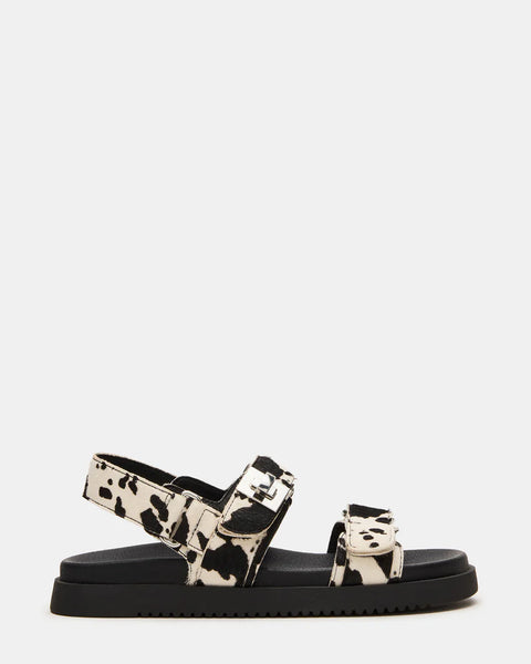 STEVE MADDEN