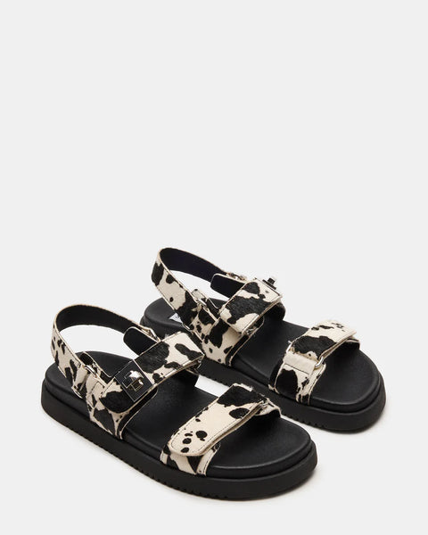 STEVE MADDEN